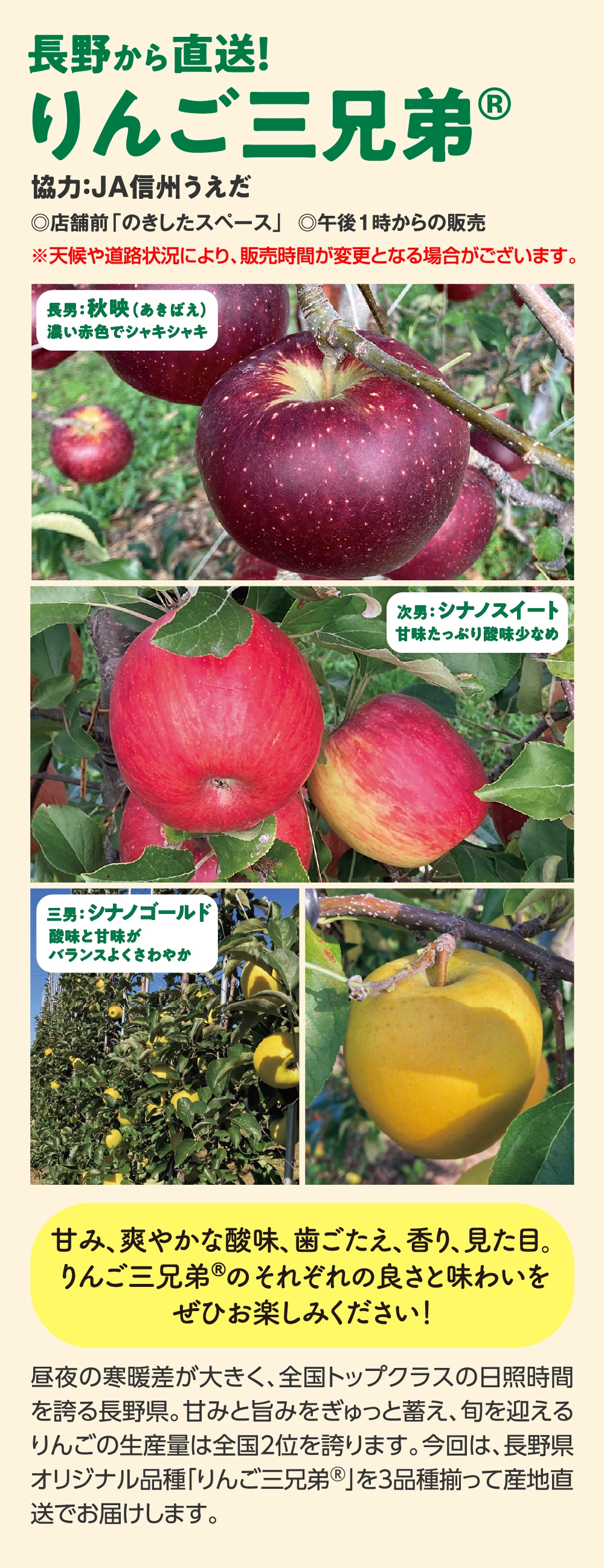 りんご三兄弟®