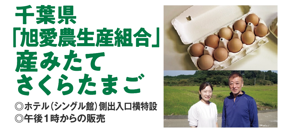 千葉県「旭愛農生産組合」産みたてさくらたまご