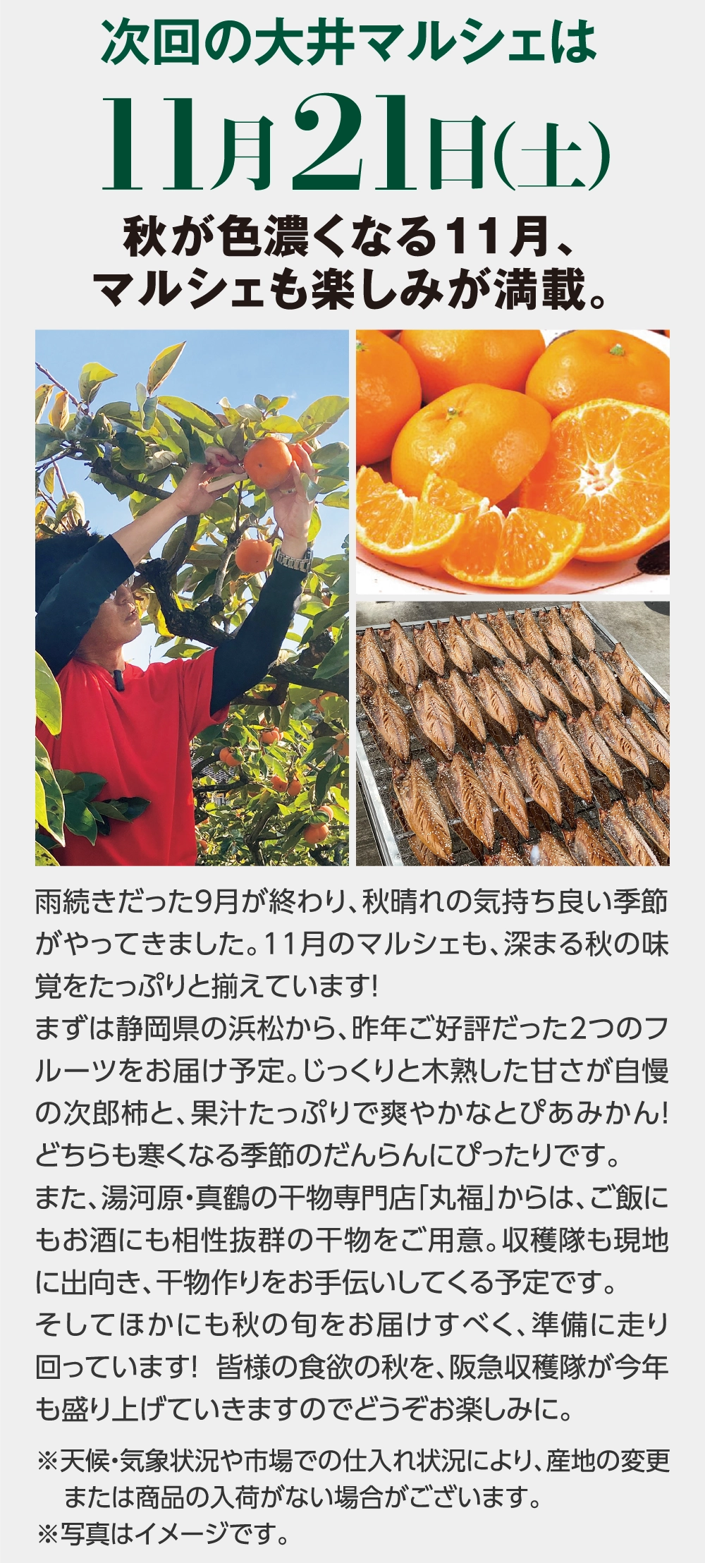 次回の大井マルシェは11月21日（土）